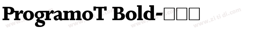 ProgramoT Bold字体转换